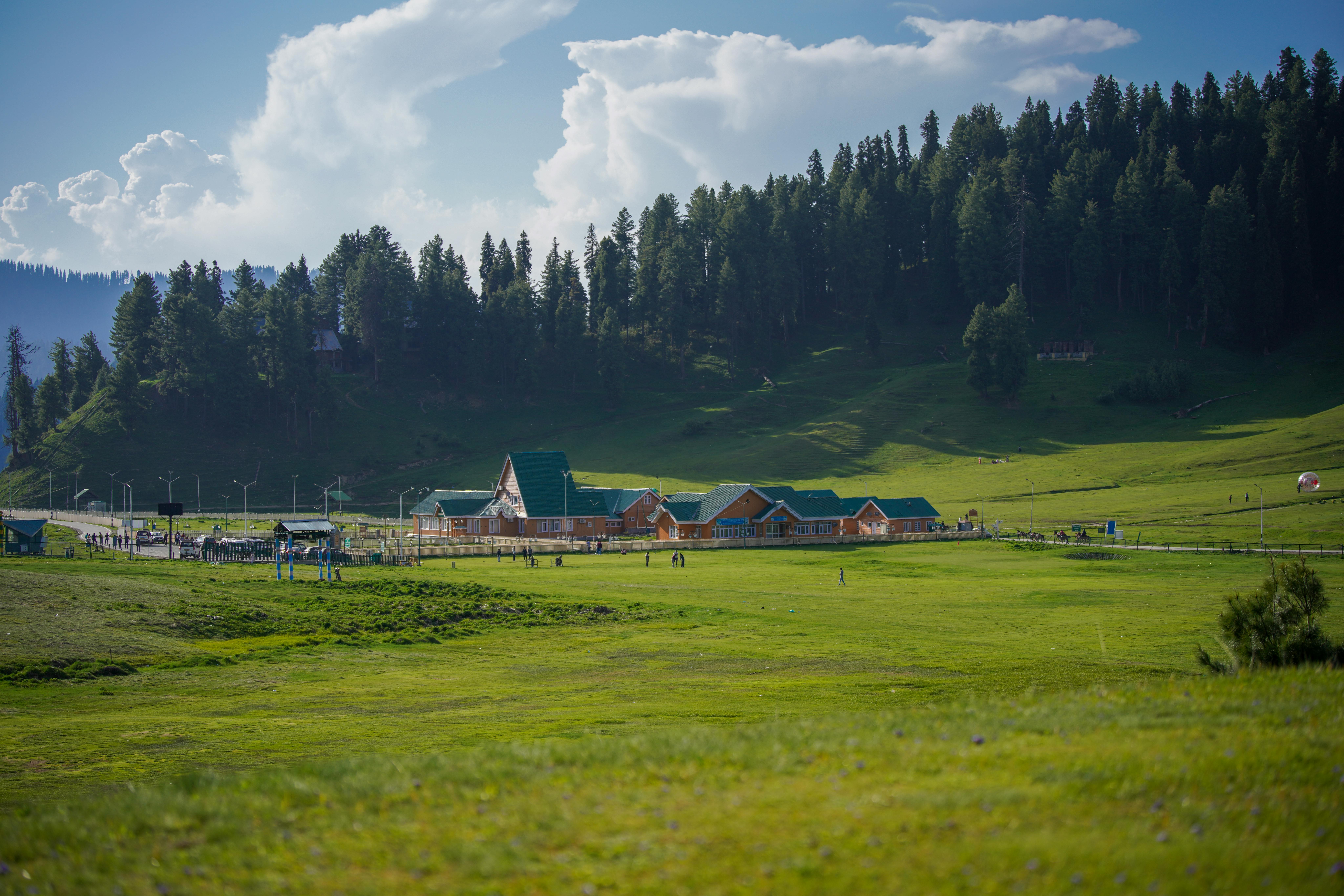 Main Image